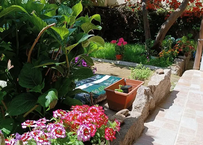 Domo Janas Affittacamere Guesthouse Gasthof 3*